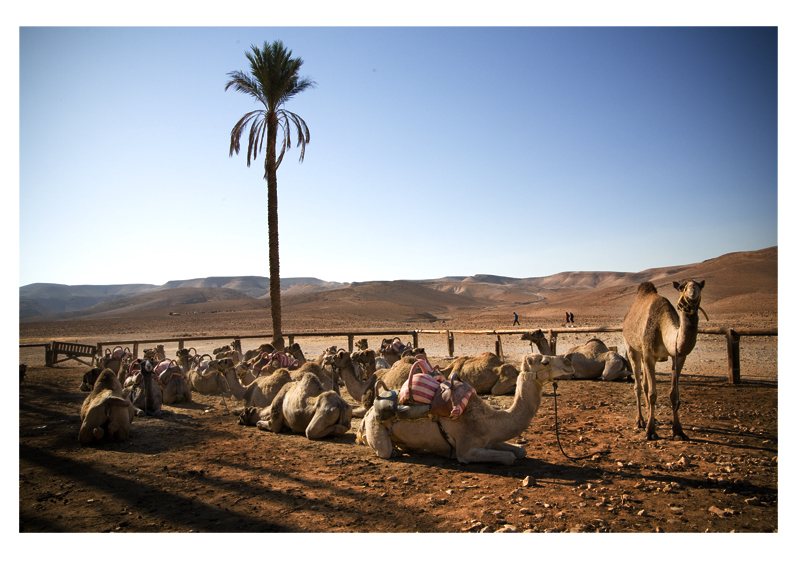Israël