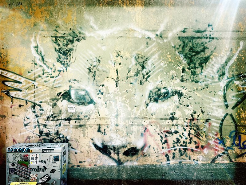 Street Art